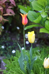 4月10日 散歩 ７