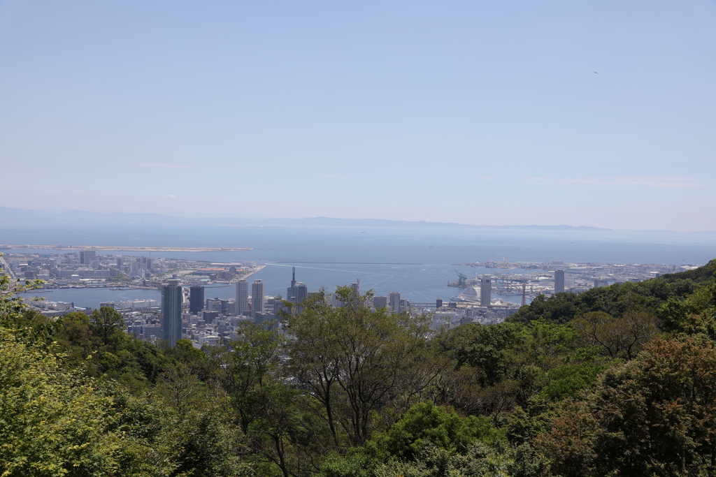 5月28日 布引ハーブ園 52