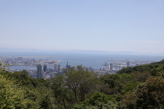 5月28日 布引ハーブ園 52
