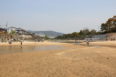 4月16日 散歩 16