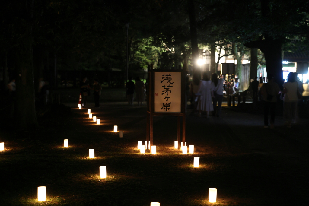 8月14日 なら燈花会 10