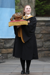 5月28日 USJ 35