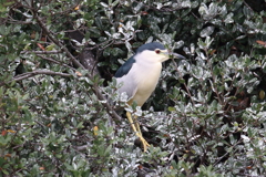 10月30日 明石公園 16