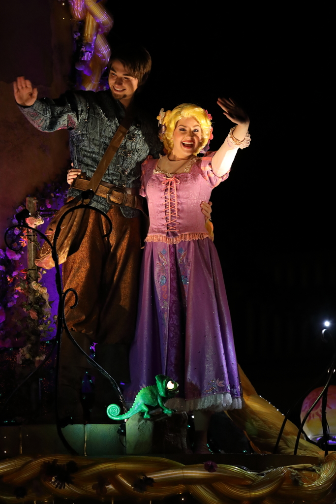 11月22日 東京ディズニーランド 84