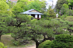 5月18日 相楽園 ５