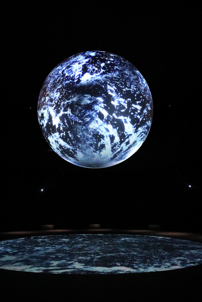 6月18日 ニフレル 19