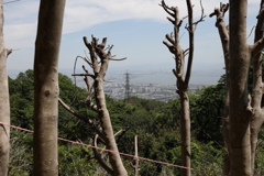 5月14日 長距離散歩 34