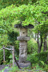 5月18日 相楽園 33