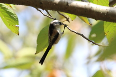 10月16日 明石公園 18