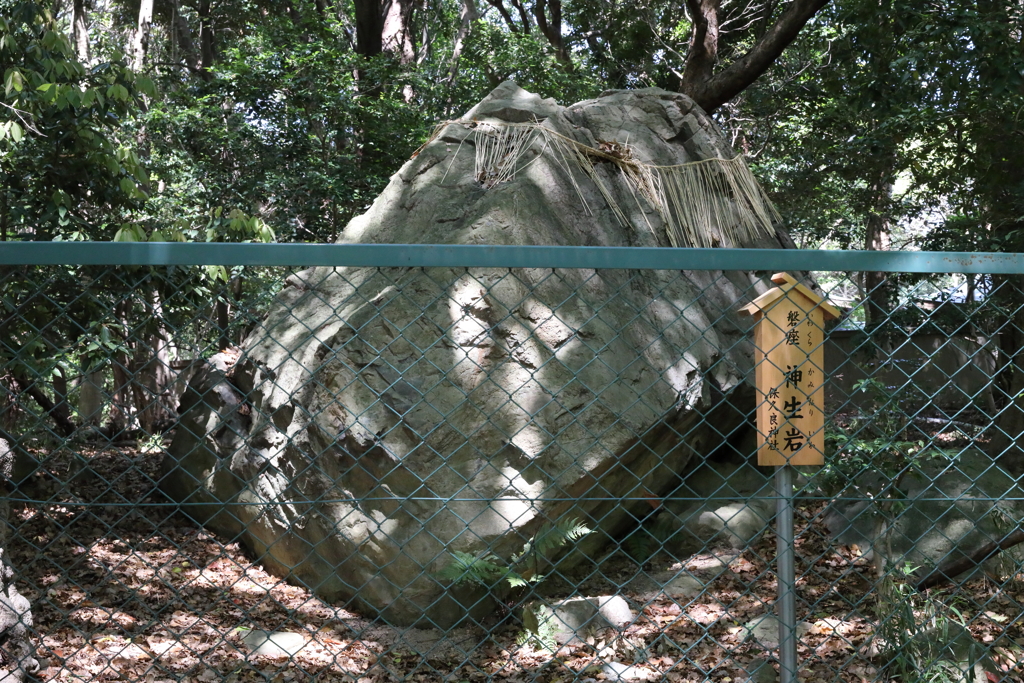 5月14日 長距離散歩 44