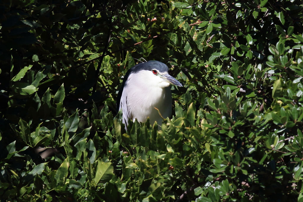 9月25日 明石公園 20