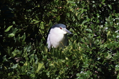 9月25日 明石公園 20