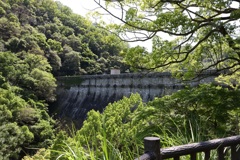 5月28日 布引の滝 ９