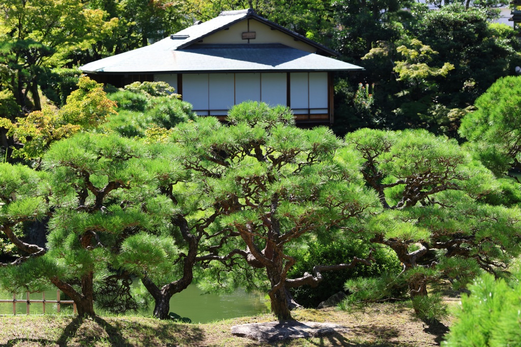 8月27日 相楽園 １