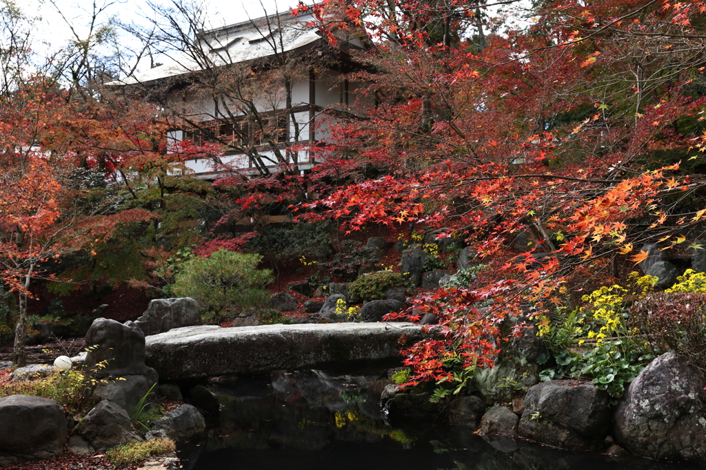 11月23日 京都 17