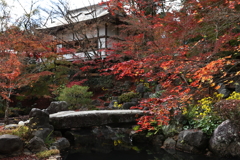 11月23日 京都 17