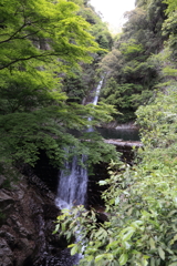 5月5日 布引の滝 ４