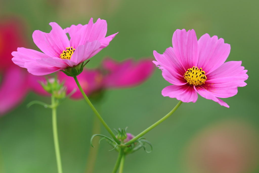10月1日 明石公園 １