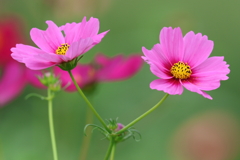 10月1日 明石公園 １