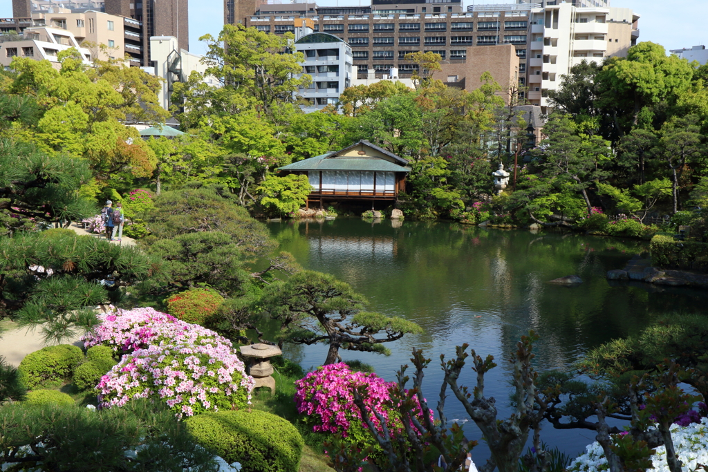 4月24日 相楽園 ８