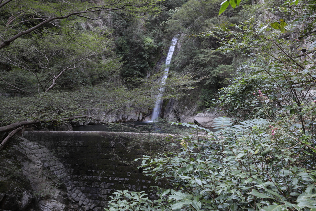 9月21日 布引の滝 ７