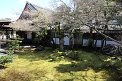 3月20日 京都嵐山 45