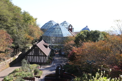 11月14日 布引ハーブ園 ９