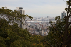 12月7日 布引の滝 31