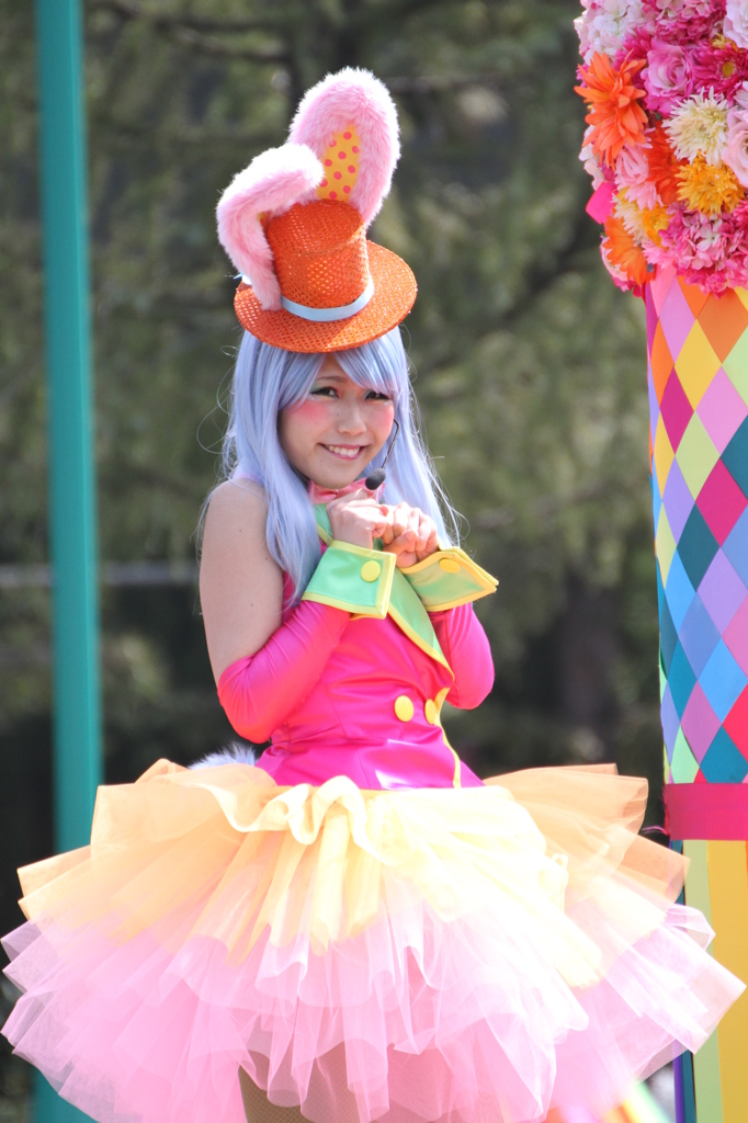 シュガーバニーさん