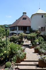 5月28日 布引ハーブ園 14