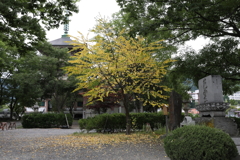 8月12日 善光寺 23