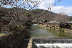 3月20日 京都嵐山 ２