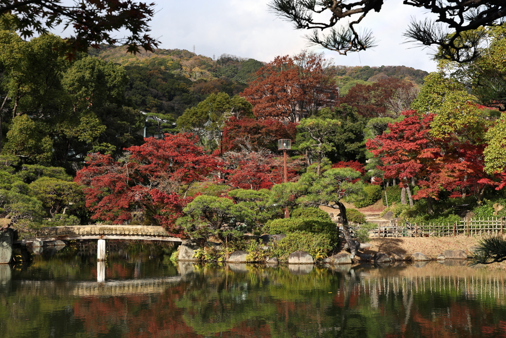 11月28日 相楽園 ７