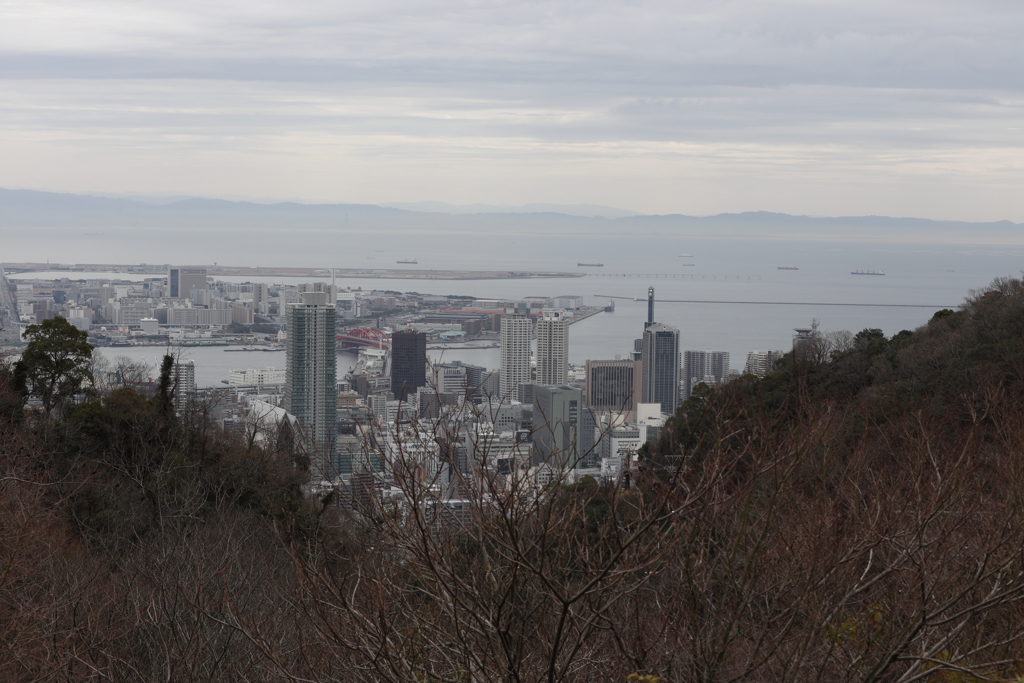 3月20日 布引ハーブ園 77