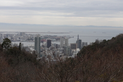 3月20日 布引ハーブ園 77
