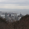 3月20日 布引ハーブ園 77