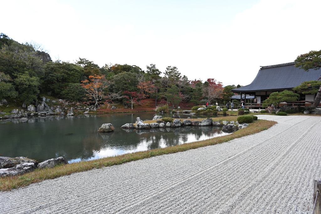 11月23日 京都 36