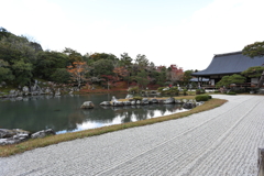11月23日 京都 36