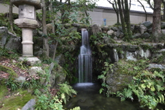 3月6日 相楽園 ９