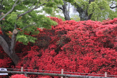 4月18日 長岡天神 21