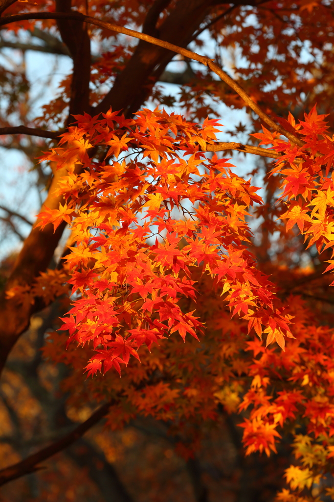 11月30日 奈良 27