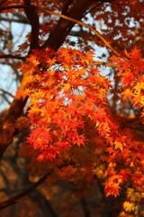 11月30日 奈良 27