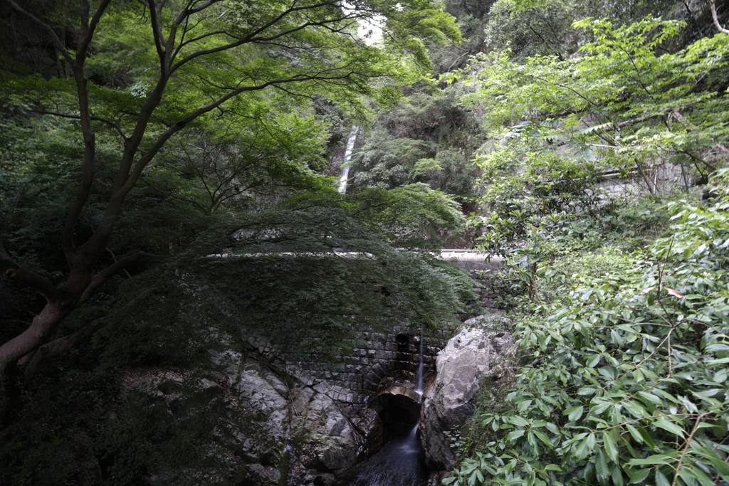6月9日 布引の滝 14 