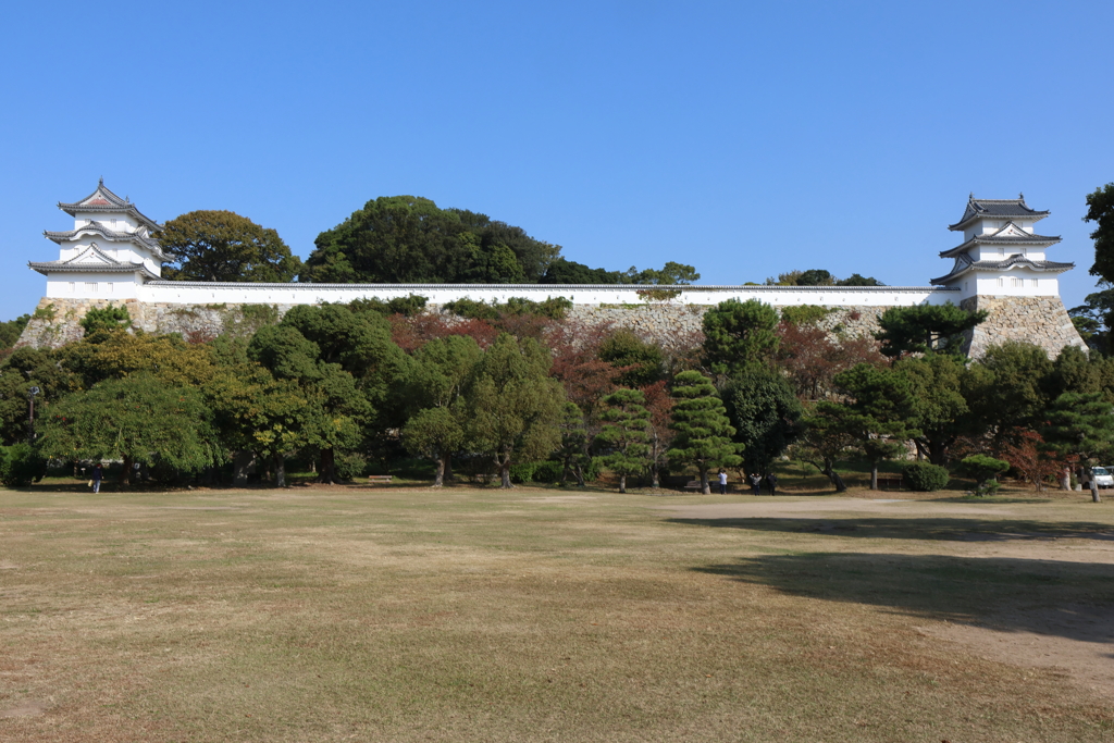 11月2日 明石公園 ３