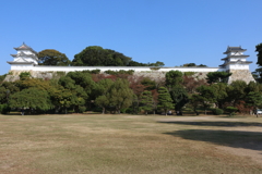 11月2日 明石公園 ３