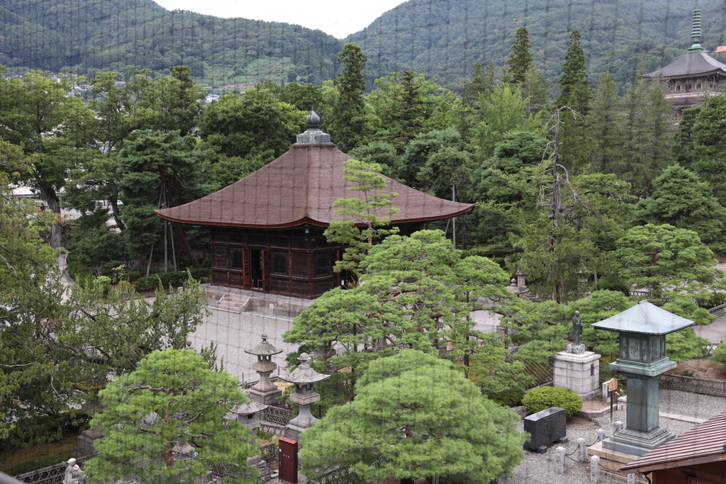 8月12日 善光寺 42