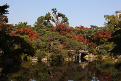 10月31日 相楽園 ９