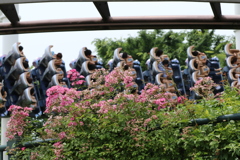 USJ風景 18 USJ風景 18