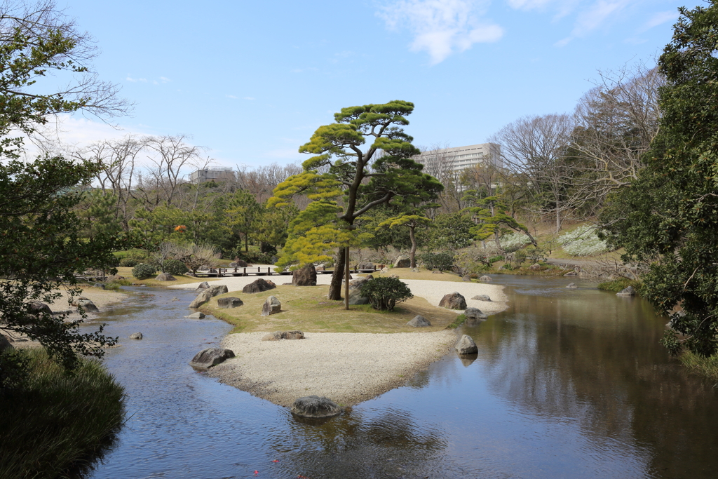 3月19日 万博記念公園 25
