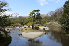 3月19日 万博記念公園 25